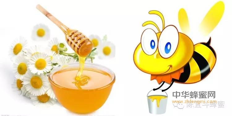 5个时间喝蜂蜜效果最好 保健效果被认可