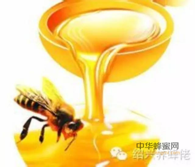 蜂蜜水有哪些作用与功效