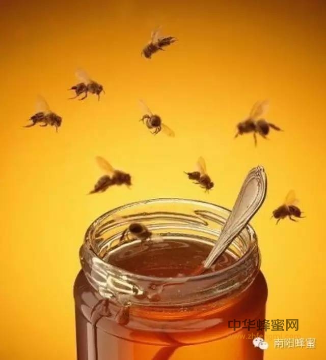 蜂蜜有必要放在冰箱里吗