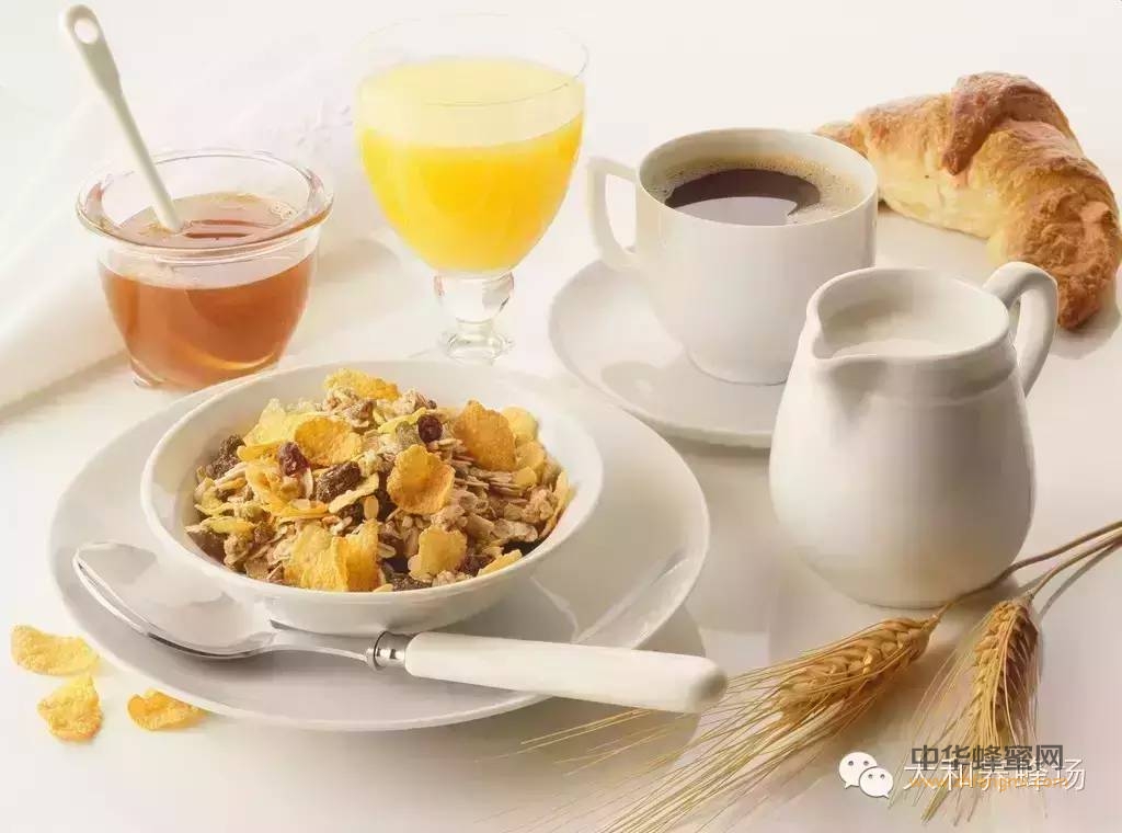 你的早餐怎么吃?看看德国标准营养早餐：蜂蜜+牛奶+面包！