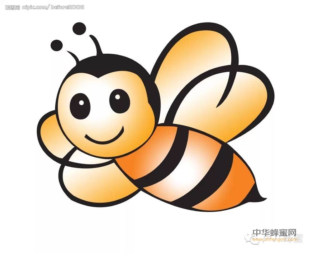 蜜蜂是世界上最勤奋、最伟大、最神奇的动物！
