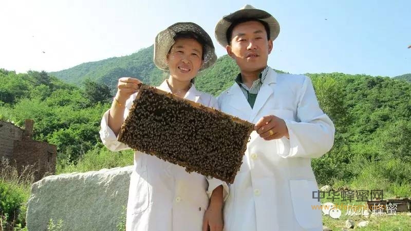 深度解析人造蜂蜜 及危害