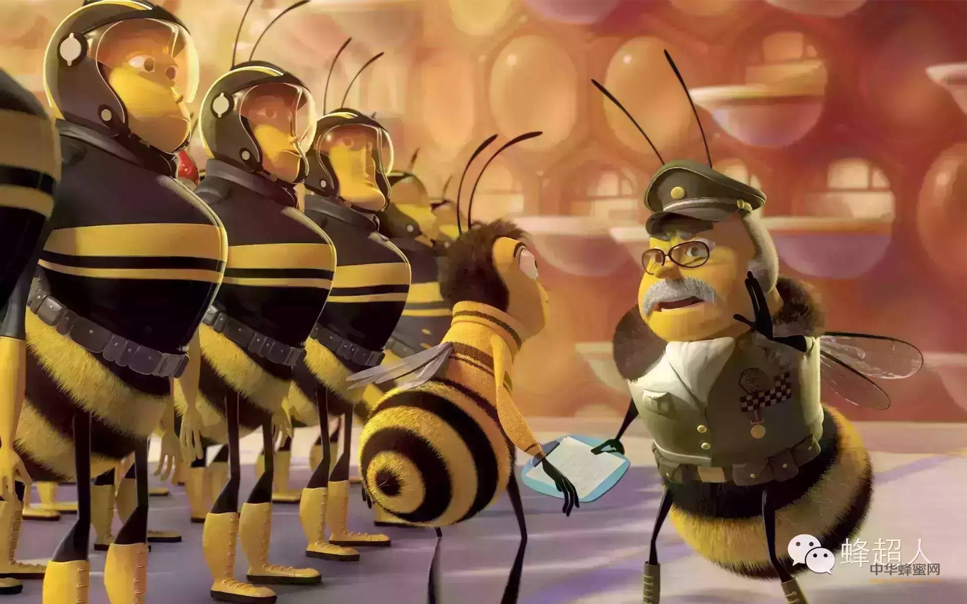 【蜂超人】蜂蜜女王已下令，所有蜂超人听令，即刻打响保卫蜂产业第一战！