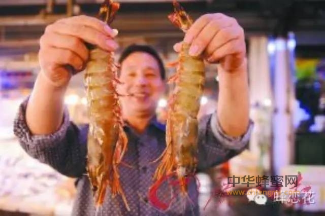 秋冬季节到了，用2只青岛大虾换取荔枝原蜜吧！