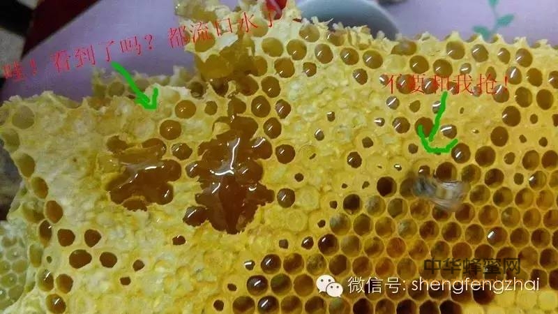 【不得不看】食用蜂蜜普遍几个大错