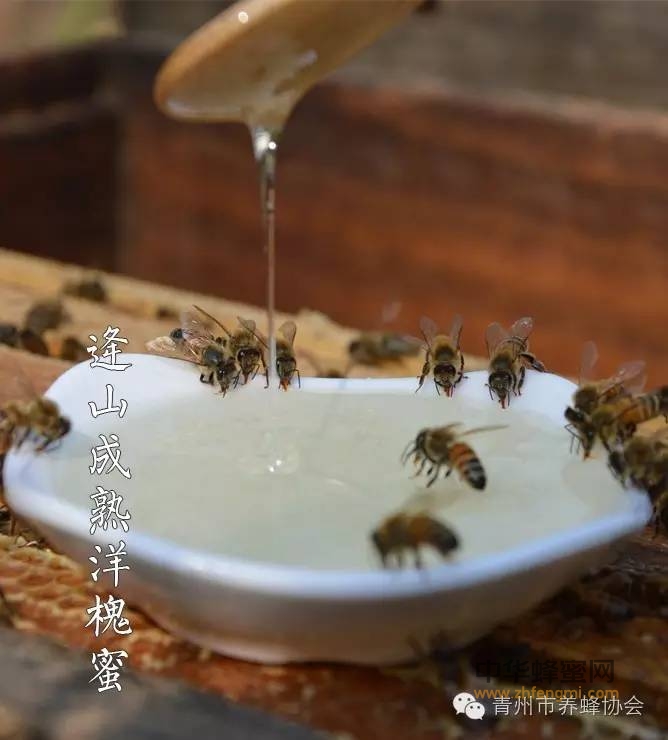 蜂蜜治病的10个中医秘方，效果杠杠的！