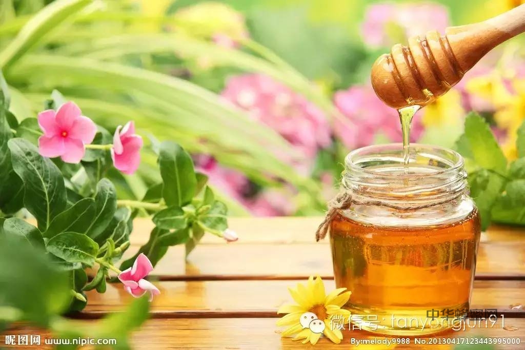 养生：蜂蜜五大功效帮您搞定健康问题