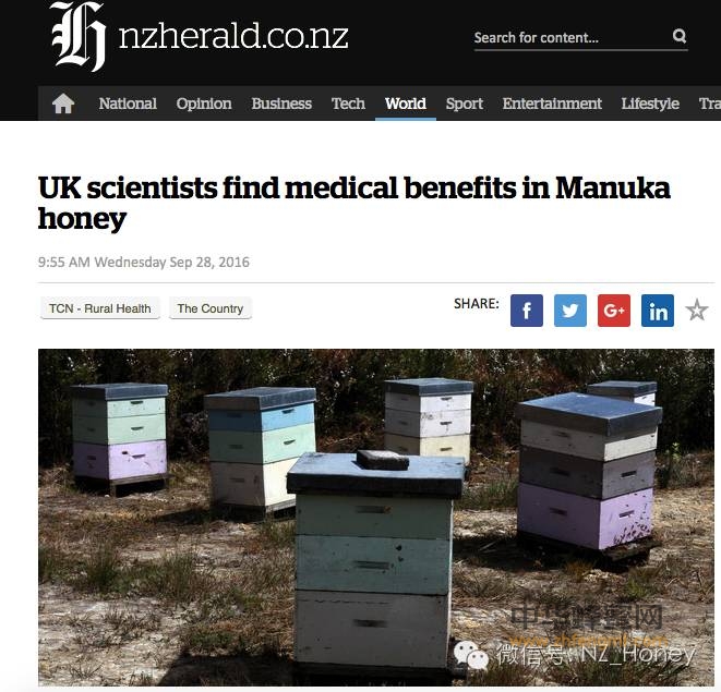 英国大学发现麦卢卡蜂蜜在医学上的新用途