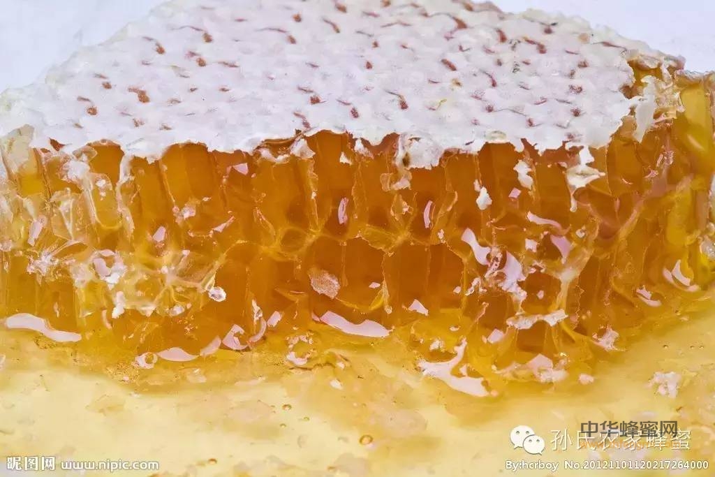 蜜中极品—巢蜜，嚼着吃的蜂蜜！