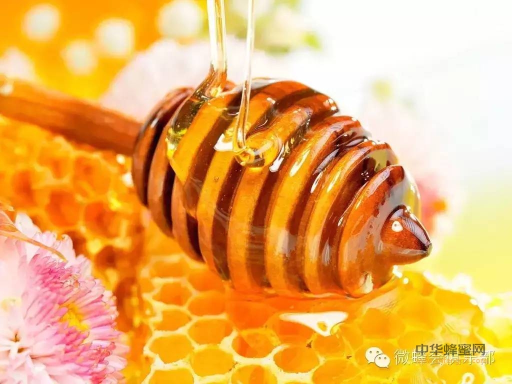 关于蜂蜜的十大误区（专业科普）