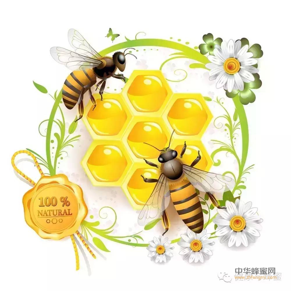 如何利用蜂蜜有效祛痘？