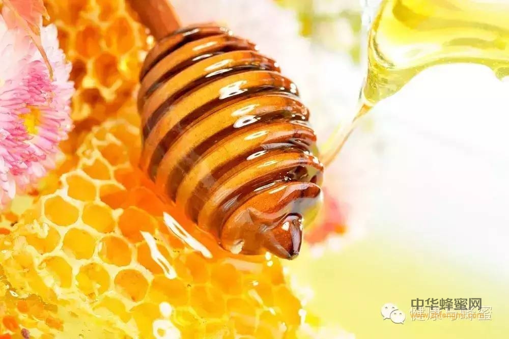 蜂蜜的主要成分