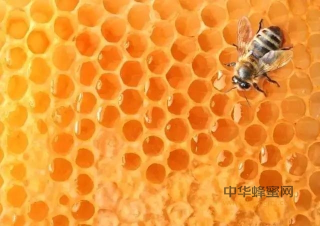 蜂蜜这样才能越吃越瘦