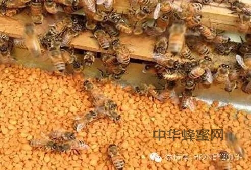 蜂花粉面膜，做一次试试。