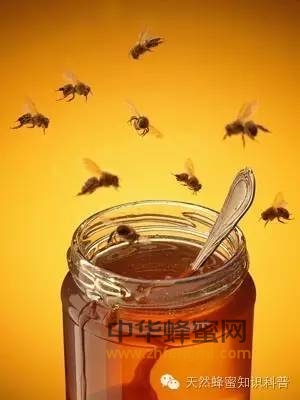 蜂蜜的储存方法温度