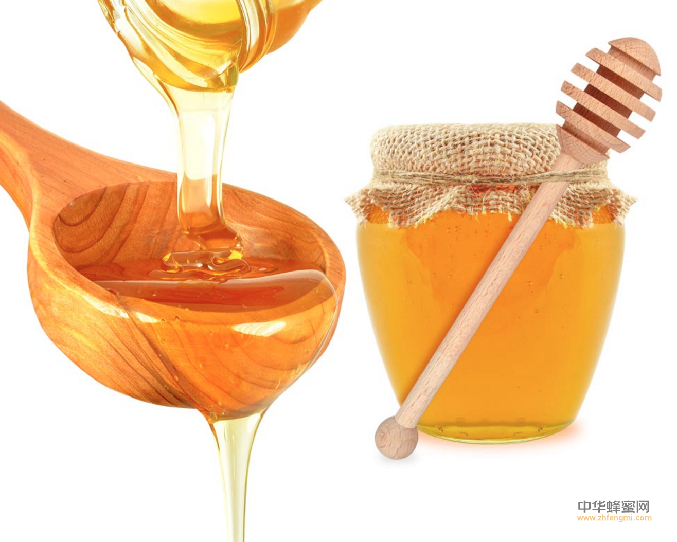 蜂产品 蜂蜜 蜂蜜发酵 嗜渗酵母 蜂蜜品质 蜂蜜质量安全
