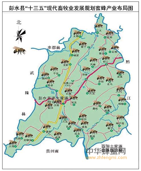 彭水县 中蜂养殖 蜜蜂养殖 蜂业 中蜂 蜂蜜 养蜂