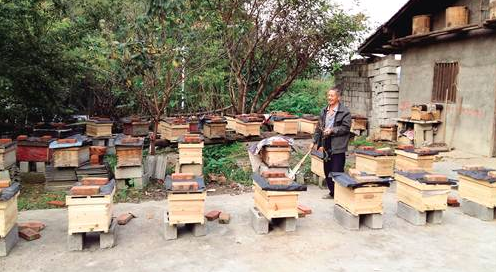 昆明市食药监局扶持贫困村民饲养中蜂