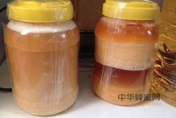 蜂蜜 发酵 蜂蜜有酸味 蜂蜜变质