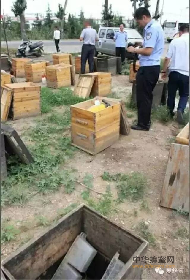 CCTV报道！！假蜂蜜居然检测不出来！！！
