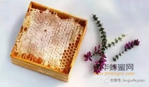 春天防过敏，当然喝蜂蜜！
