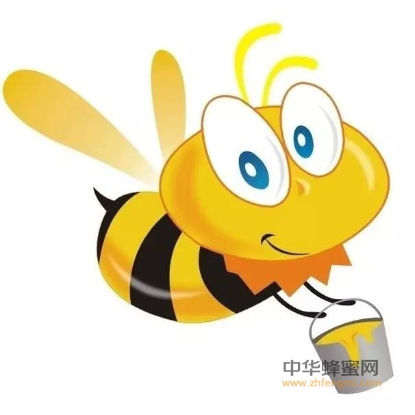 蜂胶类及主要成份
