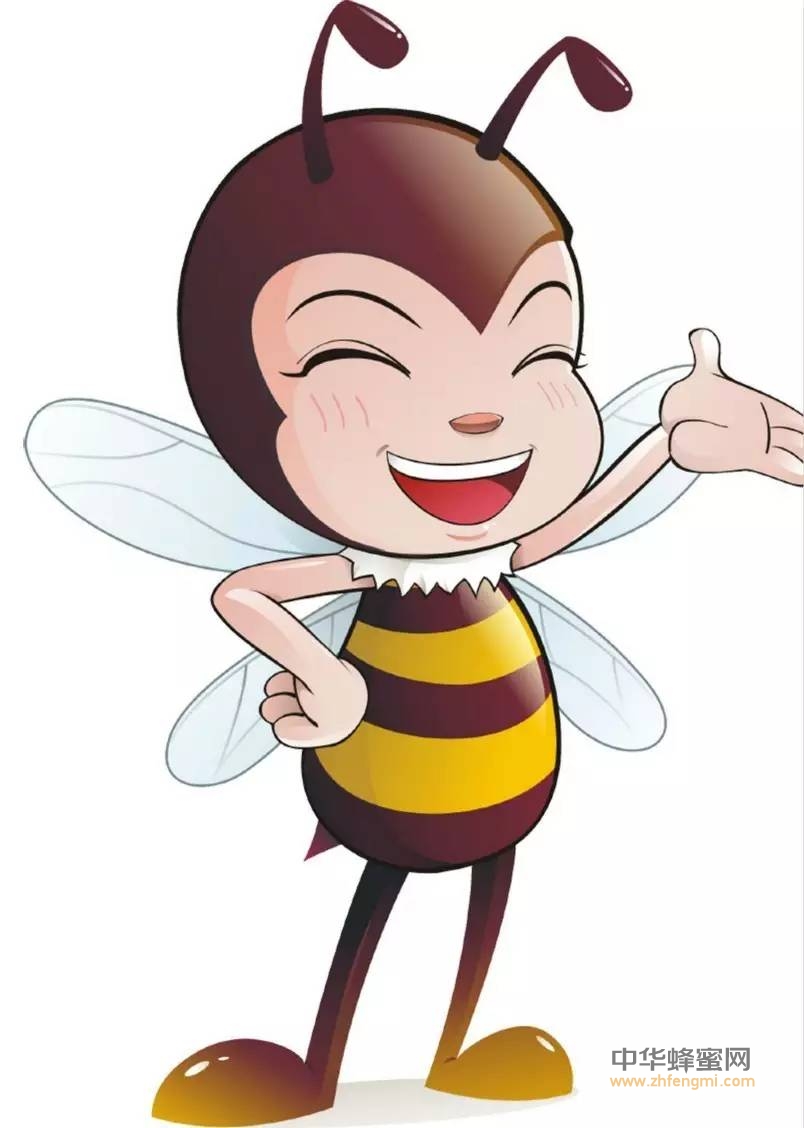 【蜂奥·头条】用蜂制品而受益的“寿星们”