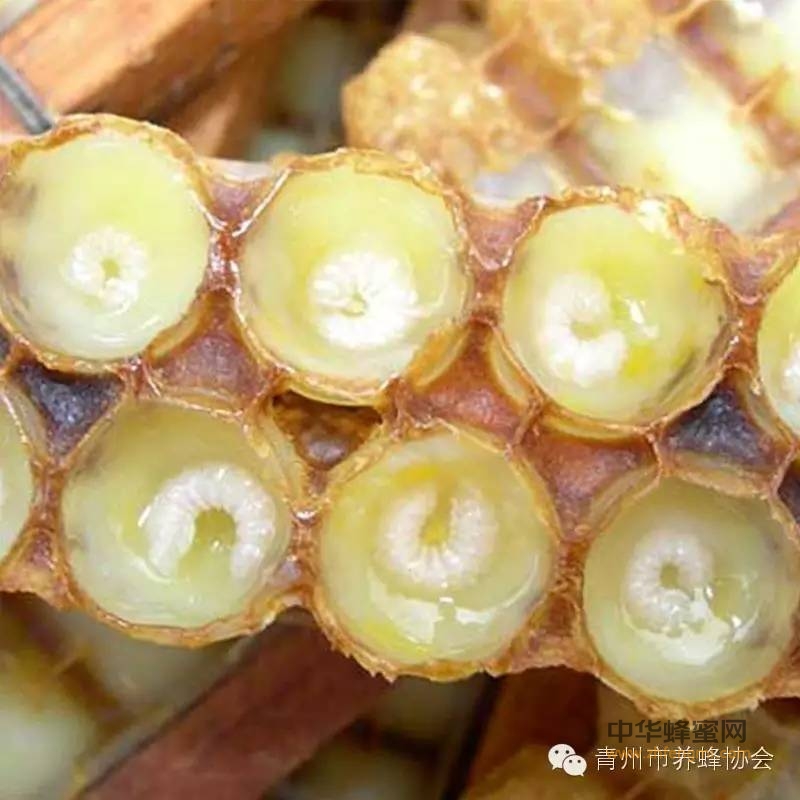 蜂蜜、蜂王浆、蜂花粉能同时服用吗？