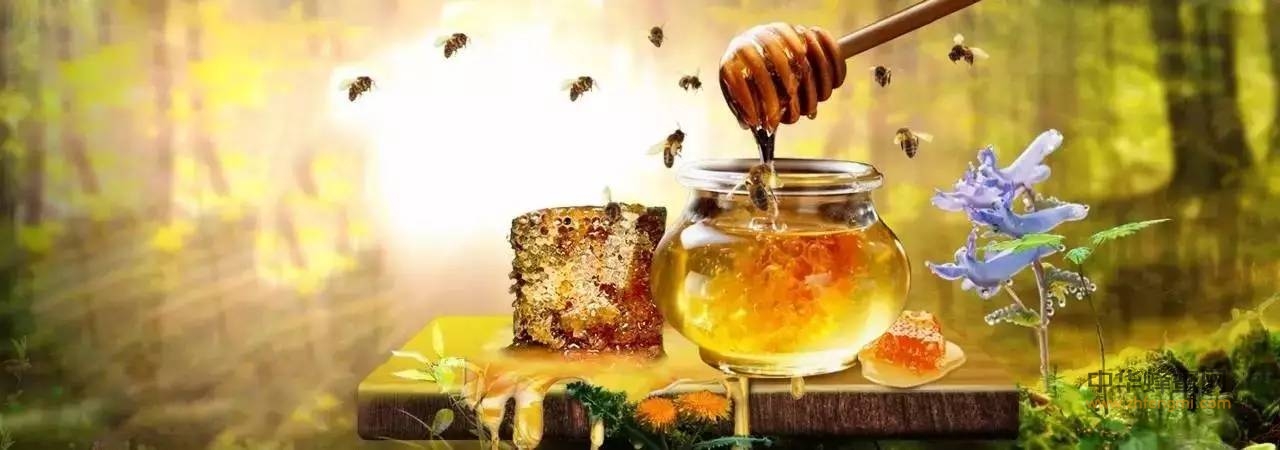 蜂蜜的好，“甜蜜”的生活少不了！