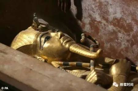 神秘古埃及：奴隶须赤裸身体涂蜂蜜