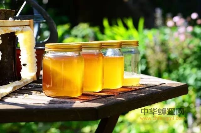 春天正是食用蜂蜜的最佳季节，增强免疫力！！