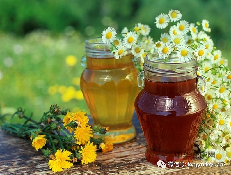 ▶抗过敏、清肠道…春季吃蜂蜜有五大好处！