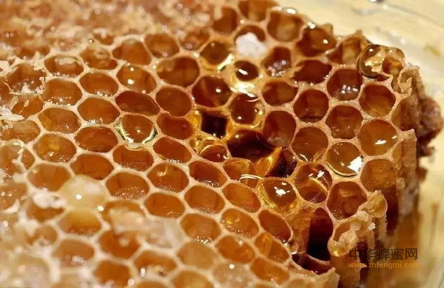 蜂蜜—居然是最好的天然抗生素