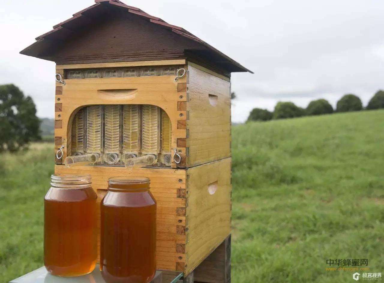 蜂蜜为什么会发生发酵变质