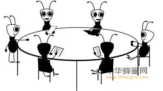 【蜂奥·头条】群体智慧：向蜜蜂和蚂蚁偷师学艺
