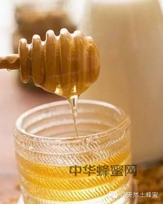 喝蜂蜜，是生命中最有眼光的投资！