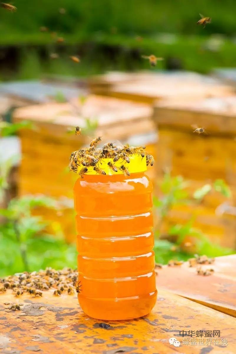 蜂蜜这样变化，说明发酵了！