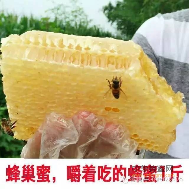 这种蜂蜜，嚼着吃最带劲！