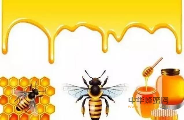 蜂蜜配大蒜，增强肝功能！