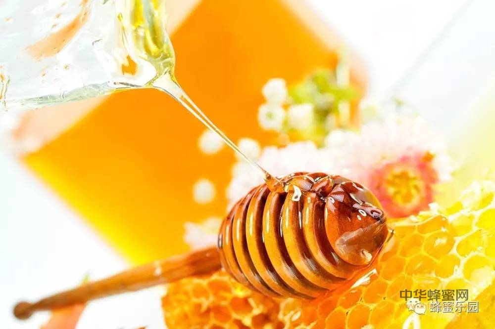 蜂蜜为何能抗菌杀菌？这篇文章解释的很透彻！