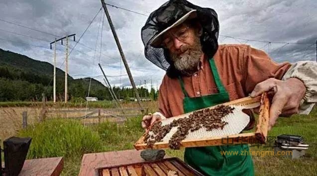 怎么用蜂蜜最养生