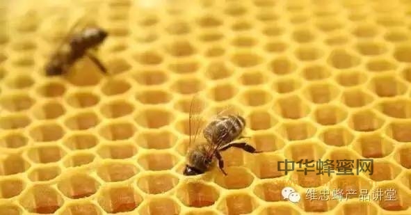 图说蜂蜜：2张图了解7天成熟封盖蜂蜜与3天不成熟水蜜的区别