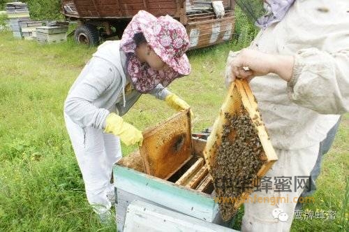 巴什基尔十月鹰牌蜂蜜的医疗保健作用