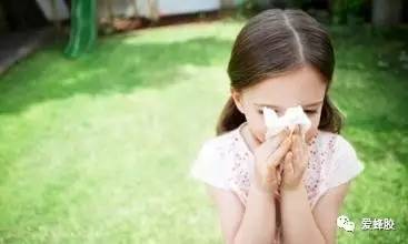 治疗鼻炎用蜂胶