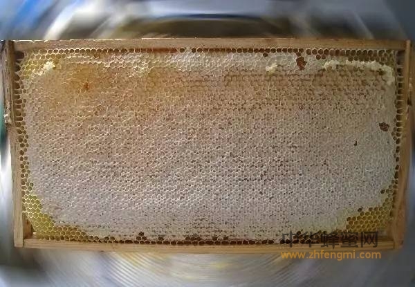 图说蜂蜜：2张图看1天水蜜与10天成熟封盖蜂蜜