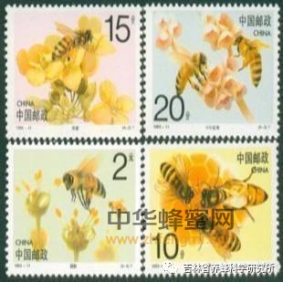 蜜蜂文化｜从百年邮票看养蜂发展