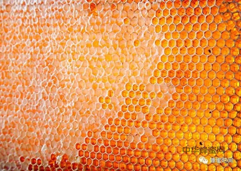十大蜂蜜治病食疗方，比西药还管用！