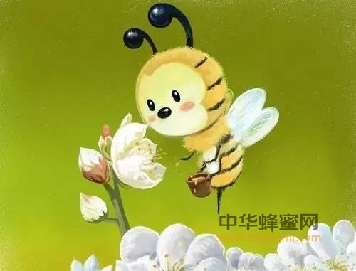 【蜂奥·人文】佛经故事：蜜蜂的教诲