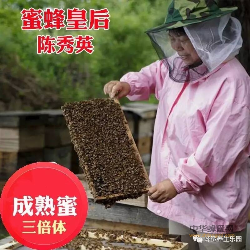 蜂蜜可提高人体内抗氧化物水平