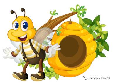 蜜蜂的能力（下）